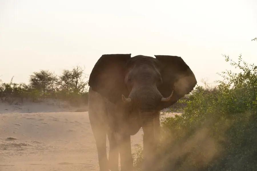 Namibia scenery — Image 18 - Namvic Safaris photo from Namibia operations.