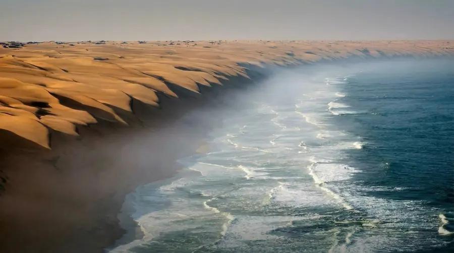 Namvic Safaris — social - Namvic Safaris social content.