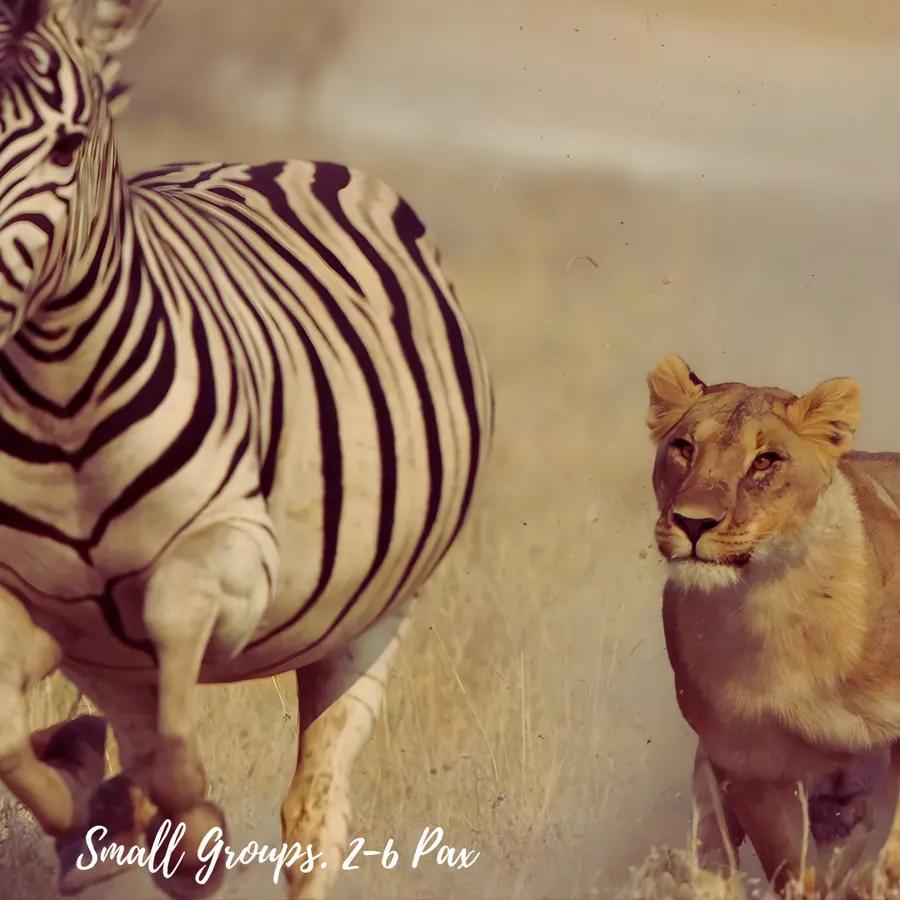 The Namib - Namvic Safaris scenery photo from Namibia operations.