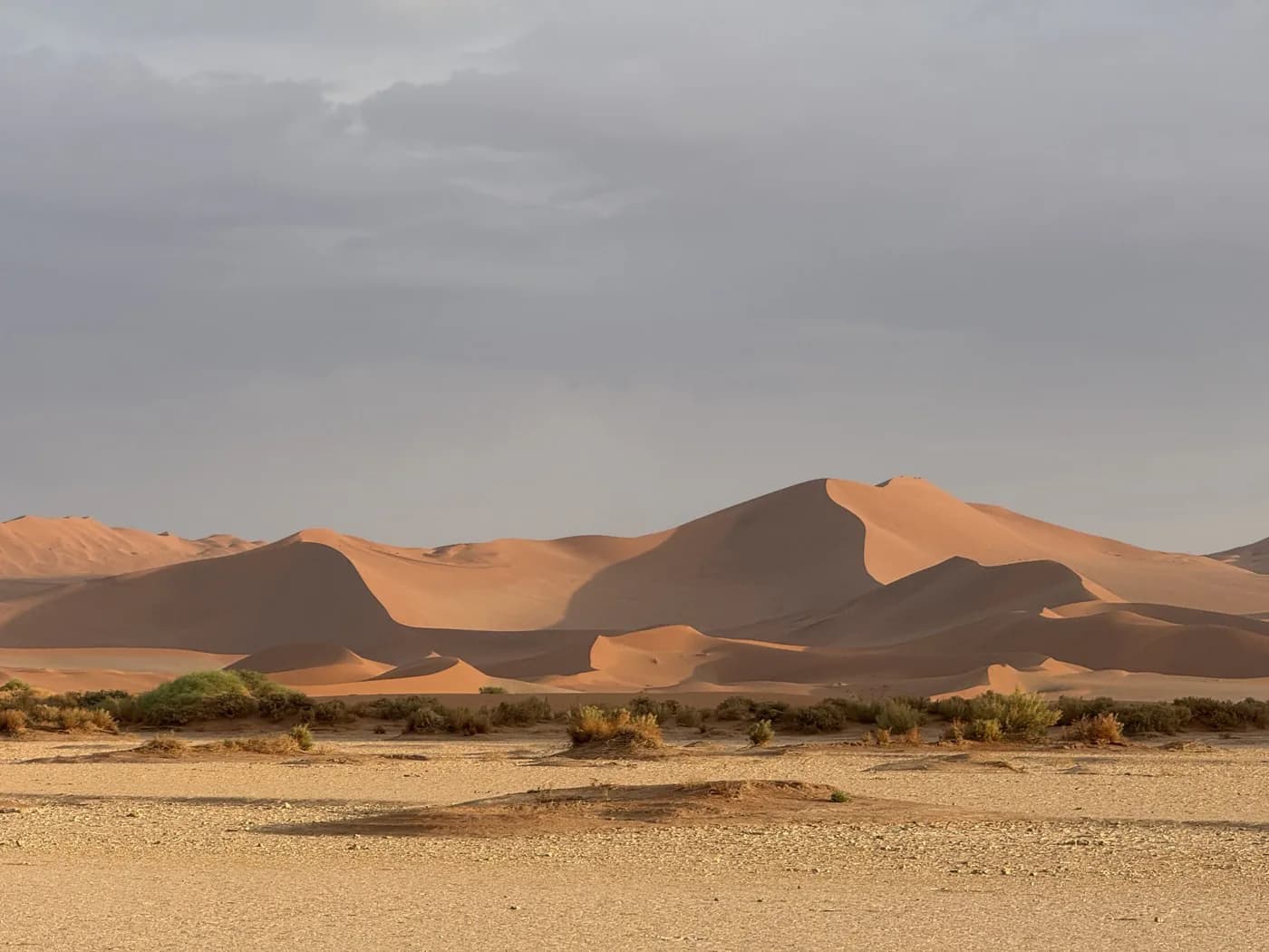 Layered red dunes in soft morning light