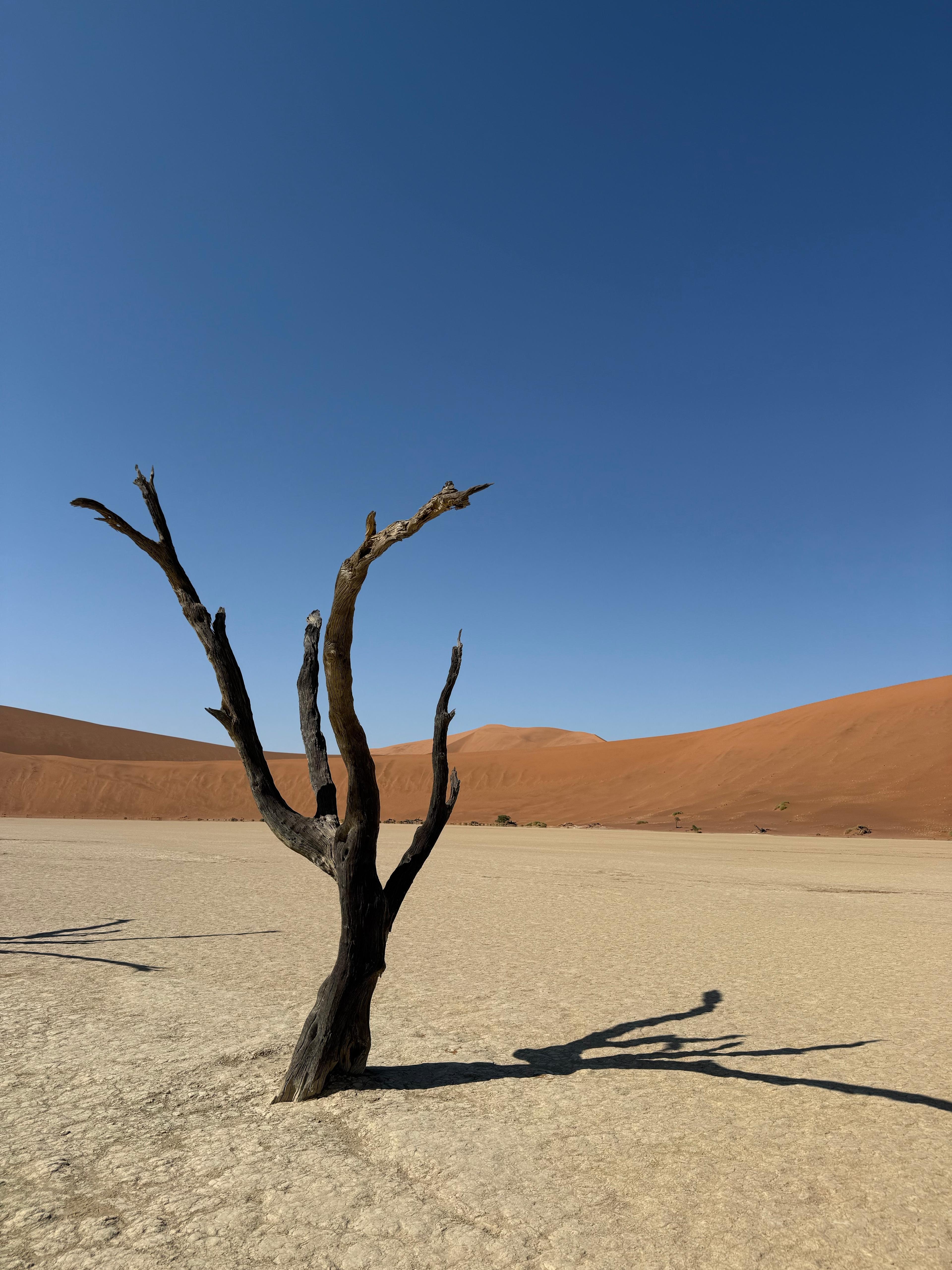 Namvic route scenery around Swakopmund