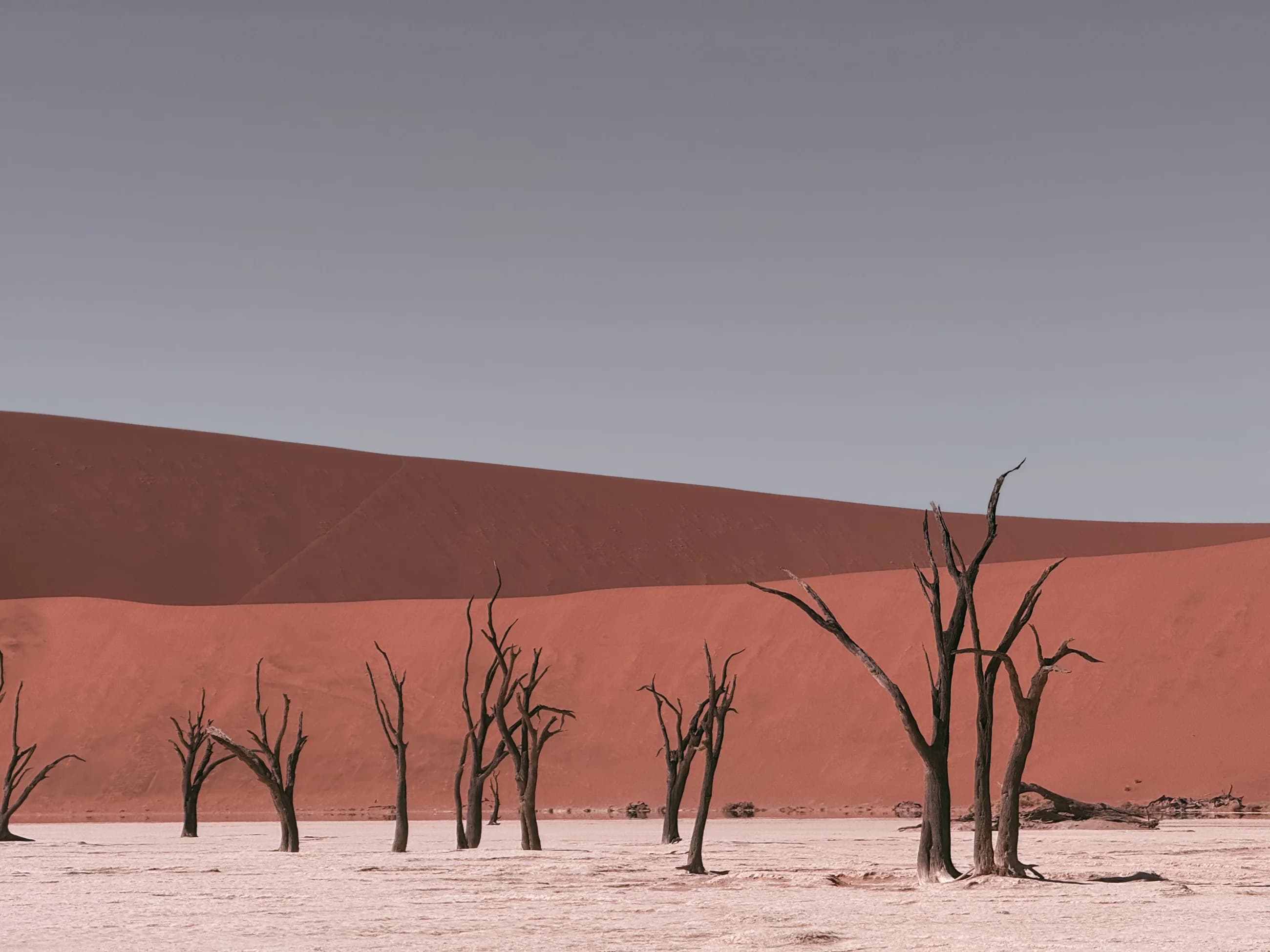 Deadvlei desert scenery near Sesriem