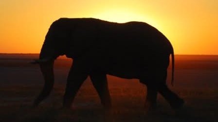 12 Day Explore Namibia route preview