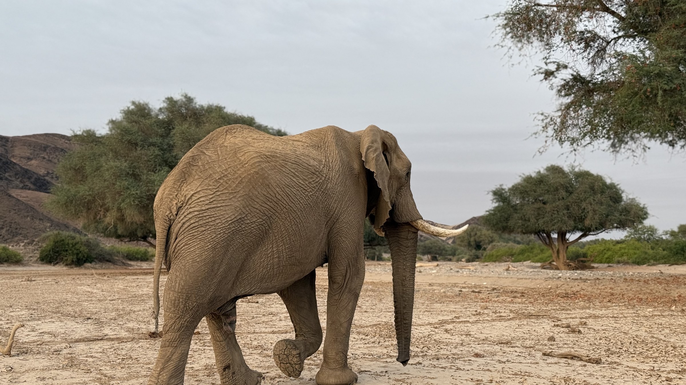 21 Day Namibia, Botswana & Vic Falls route preview
