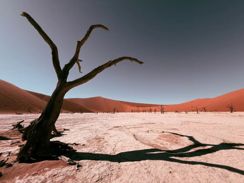 21 Day Namibia, Botswana & Vic Falls — Self-Drive route and safari scenery