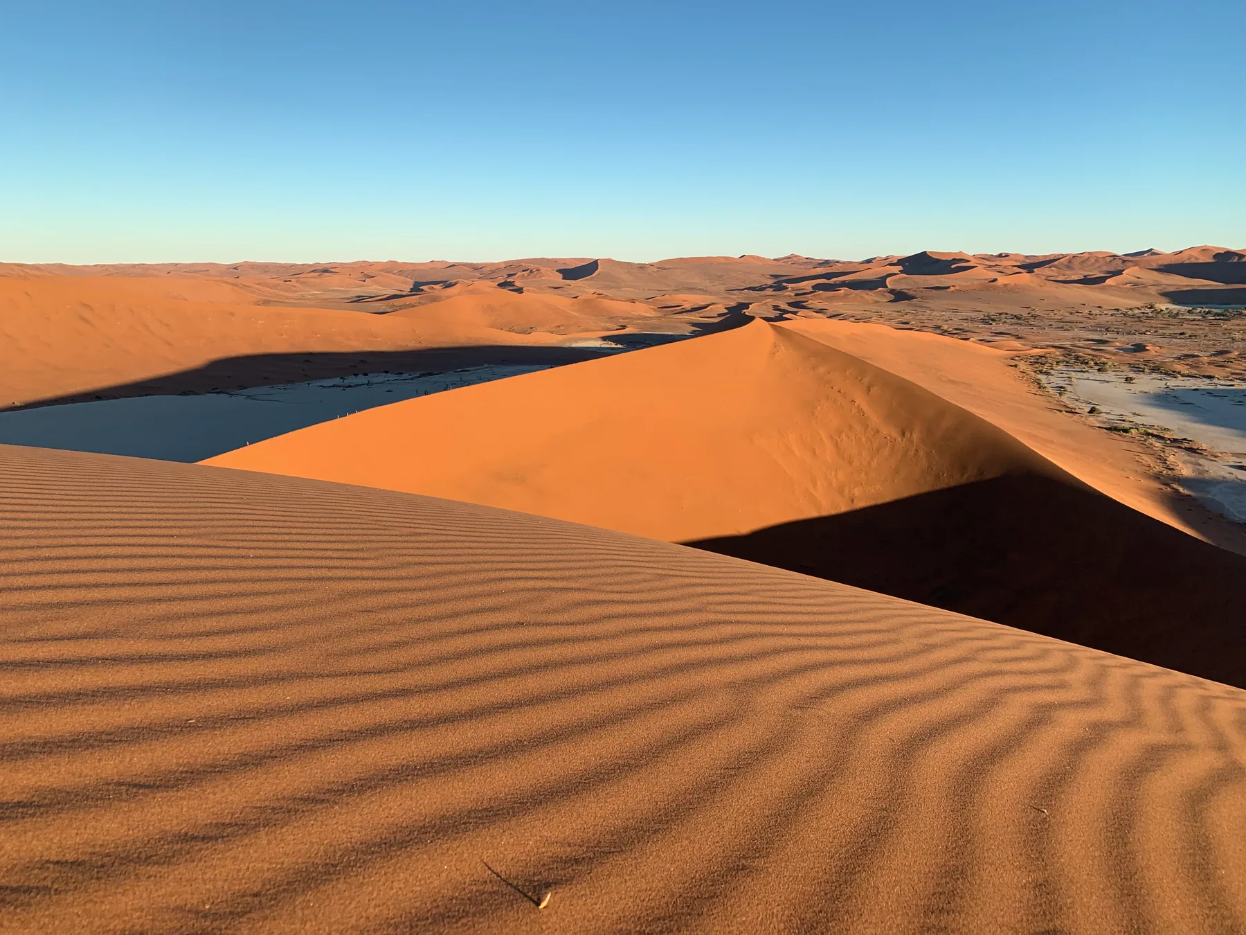 Sculpted orange dunes beneath a clear blue sky