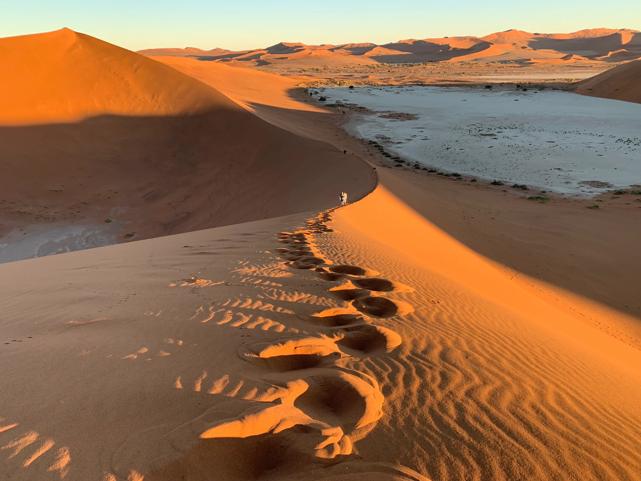 7-Day Desert, Coast & Wildlife Guided Safari route and safari scenery