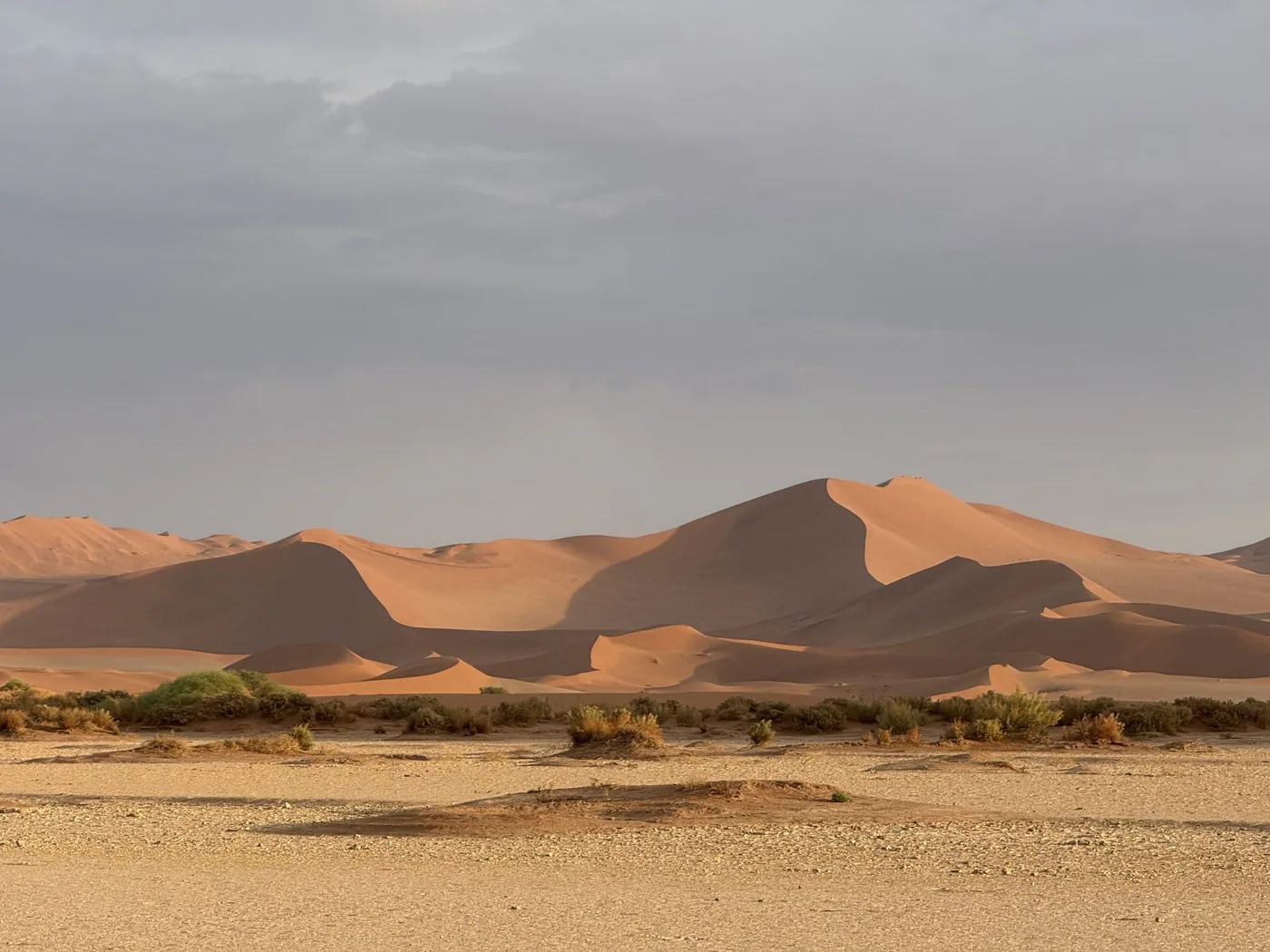 Layered red dunes in soft morning light
