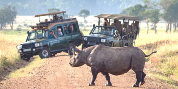 Vehicle Hire and safari tours in Namibia by Namvic